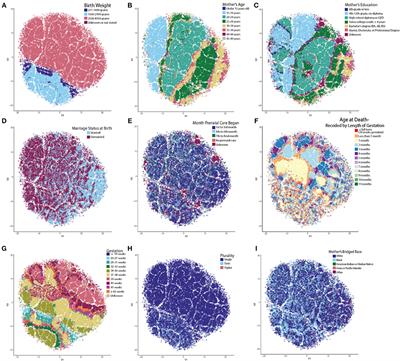 Revisiting the Neuropathology of Sudden Infant Death Syndrome (SIDS)